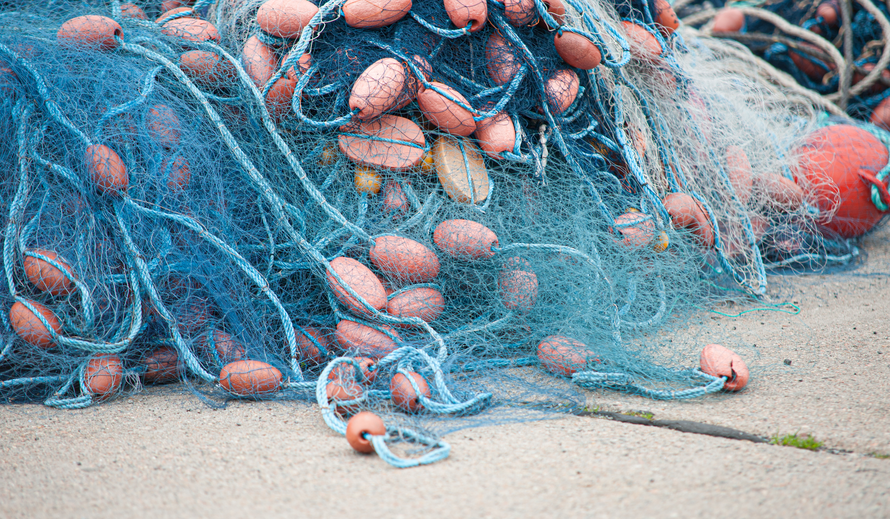 Where the nets come from.