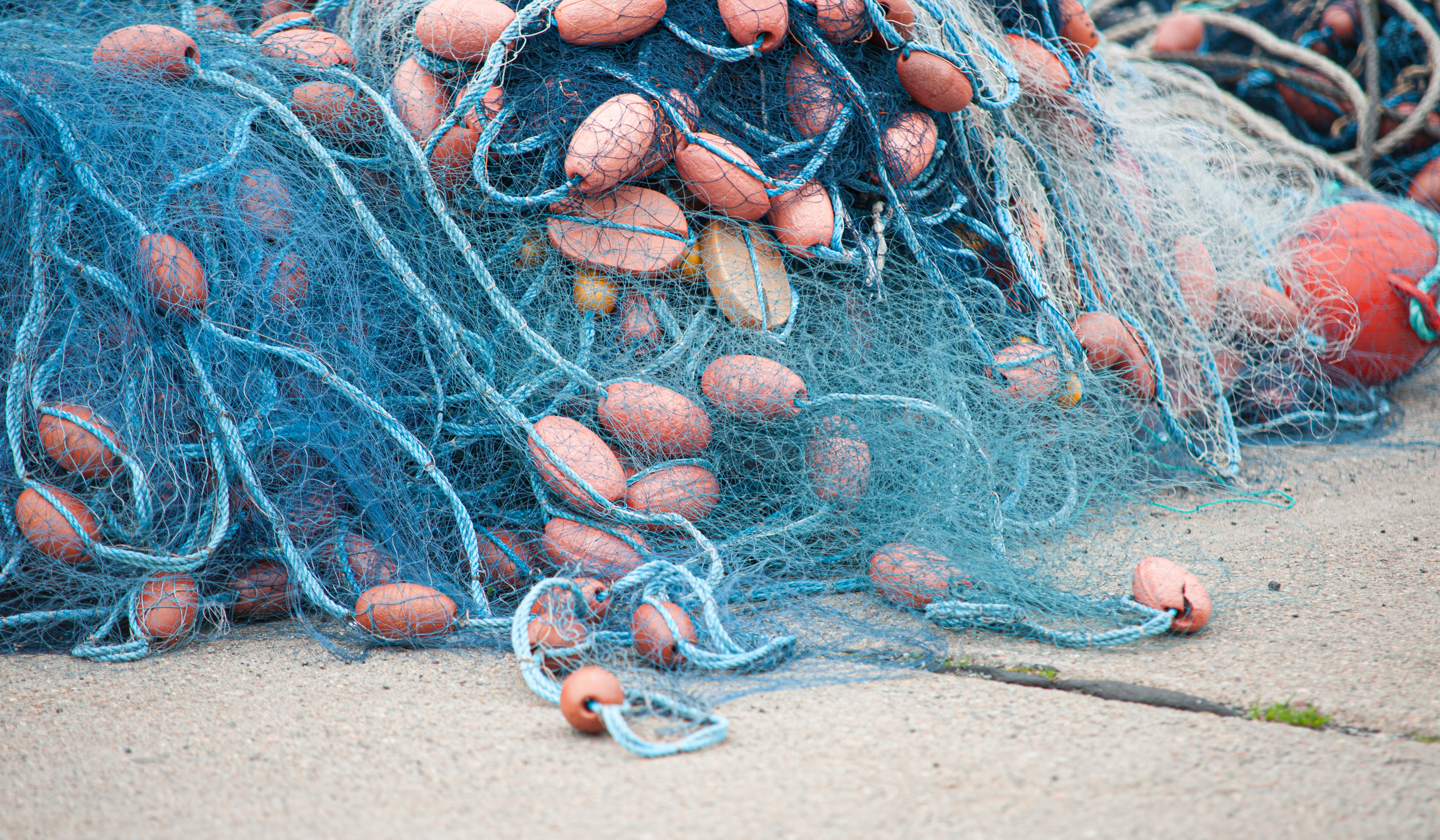 Where the nets come from.